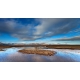 Naturbilder - Landschaft - Island - Bild  - Gras - Wolken - Moor - Sumpf